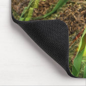 Fanned Tulp....... Muismat (Hoek)