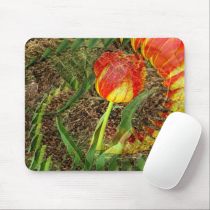 Fanned Tulp....... Muismat