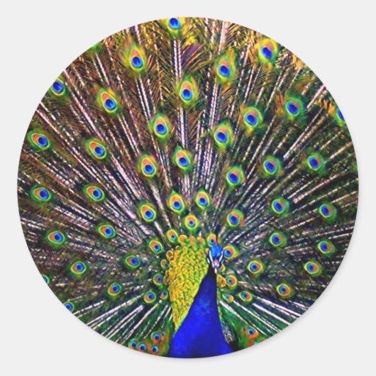 Fanning Peacock Ronde Sticker (Voorkant)