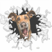 Fanny dog sticker (Voorkant)