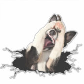 Fanny dog sticker (Voorkant)