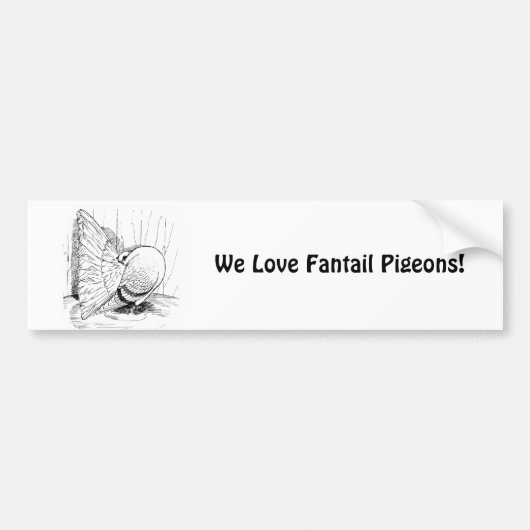 Fantail 1978 Zadel Bumpersticker (Voorkant)