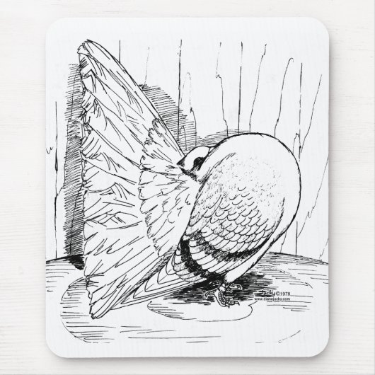 Fantail 1978 Zadel Muismat (Voorkant)