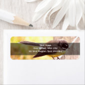 Fantail Etiket (Insitu)