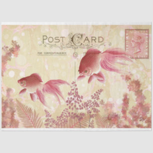 Fantail Goldfish Briefkaart Ephemera ontkoppeling  Tissuepapier