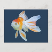 Fantail Goldfish Waterverf Briefkaart (Voorkant)