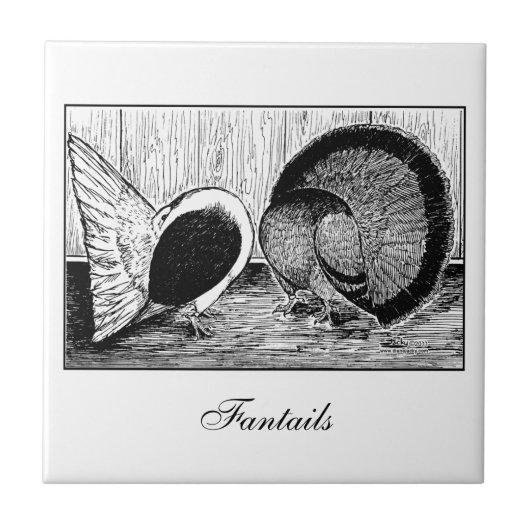 Fantail Pair Tegeltje (Voorkant)