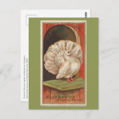 Fantail Pigeon Briefkaart (Voorkant / Achterkant)