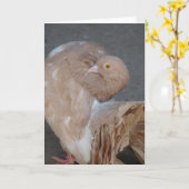 Fantail Pigeon Kaart (Gele Bloem)