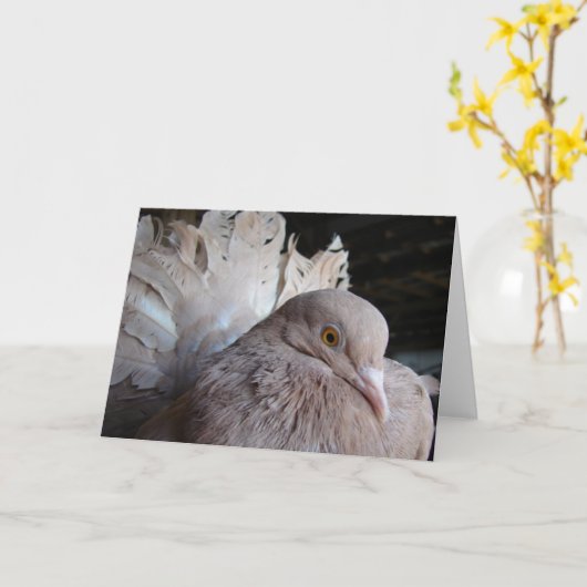 Fantail Pigeon Kaart (Gele Bloem)