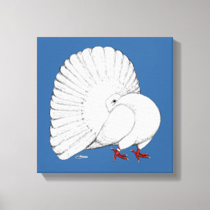 Fantail Pigeon White Canvas Afdruk