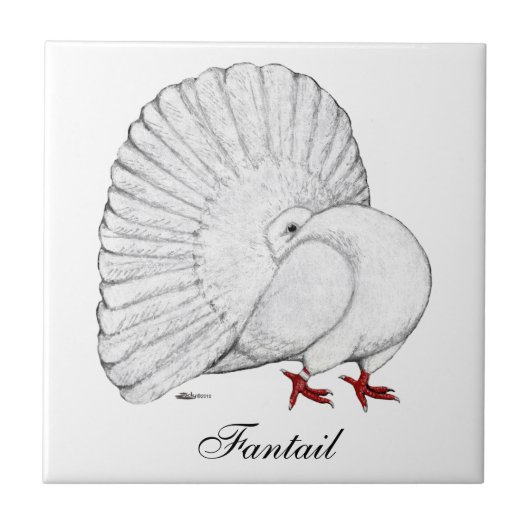Fantail Pigeon White Tegeltje (Voorkant)