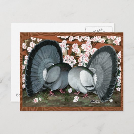 Fantail Pigeons Matched Pair Briefkaart (Voorkant / Achterkant)