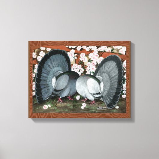 Fantail Pigeons Matched Pair Canvas Afdruk (Voorkant)