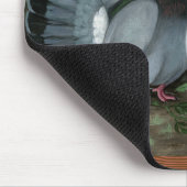 Fantail Pigeons Matched Pair Muismat (Hoek)