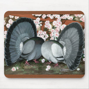 Fantail Pigeons Matched Pair Muismat