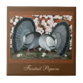 Fantail Pigeons Matched Pair Tegeltje (Voorkant)