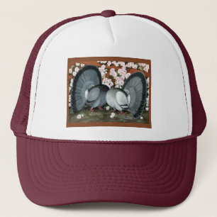 Fantail Pigeons Matched Pair Trucker Pet