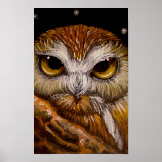 FANTASE SAW-WHET OWL-Poster Poster (Voorkant)