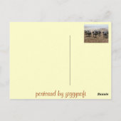 Fantasia, Essaouira, Marokko Briefkaart (Achterkant)