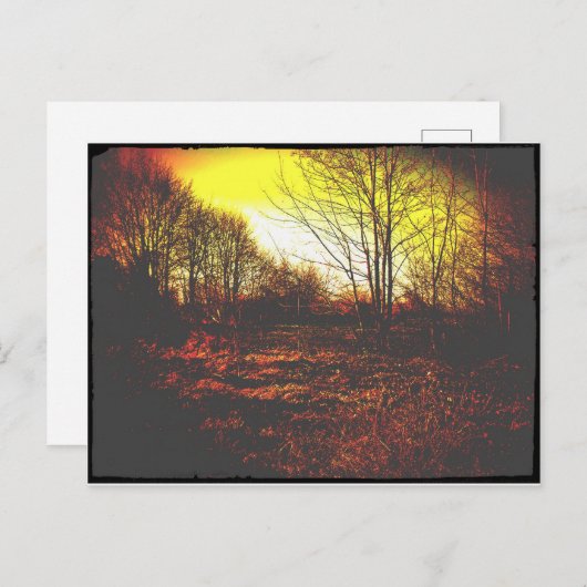 fantasie briefkaart (Voorkant / Achterkant)