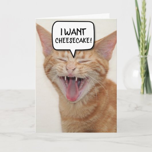 FANTASIE GINGER CAT BIRTHDAY CARD I WANT-CHEESECAK BEDANKKAART (Voorkant)
