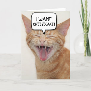 FANTASIE GINGER CAT BIRTHDAY CARD I WANT-CHEESECAK BEDANKKAART