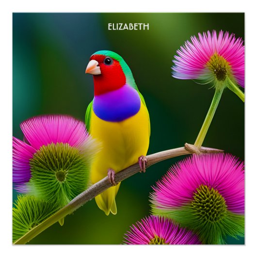Fantasie Kleurrijke Gouldian Finch Perfect Poster (Voorkant)