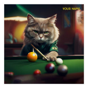 Fantasie Leuke Kat Spelen Snooker Perfect Poster