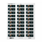 Fantasie Schattige Tiny Bird Moon Etiket (Full Sheet)