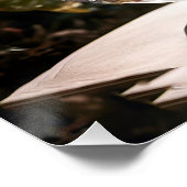 Fantasie Schattige Vivid Glass Cat Flowers Perfect Poster (Hoek)