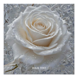 Fantasie Schattige Witte Rose Drops Perfect Poster