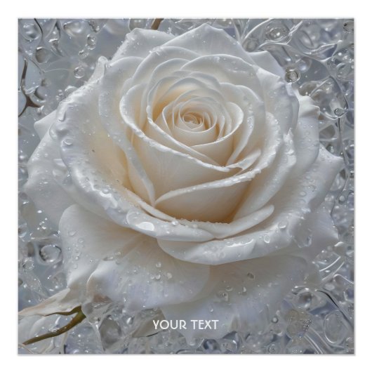 Fantasie Schattige Witte Rose Drops Perfect Poster (Voorkant)