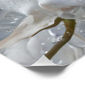 Fantasie Schattige Witte Rose Drops Perfect Poster (Hoek)