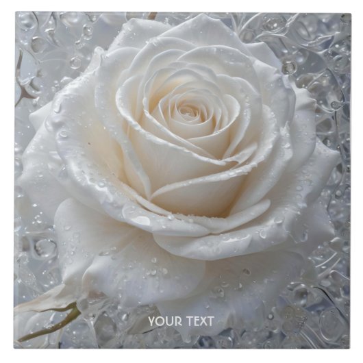 Fantasie Schattige Witte Rose Drops Tegeltje (Voorkant)