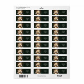 Fantasie Schattigee Lamp Lamp Lopen Etiket (Full Sheet)