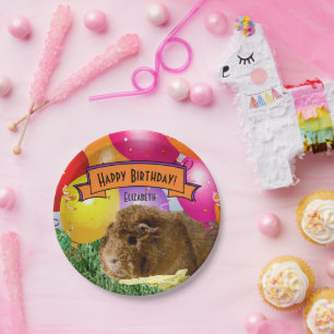 Fantasienaam Happy Birthday Guinee Pig Party Papieren Bordje