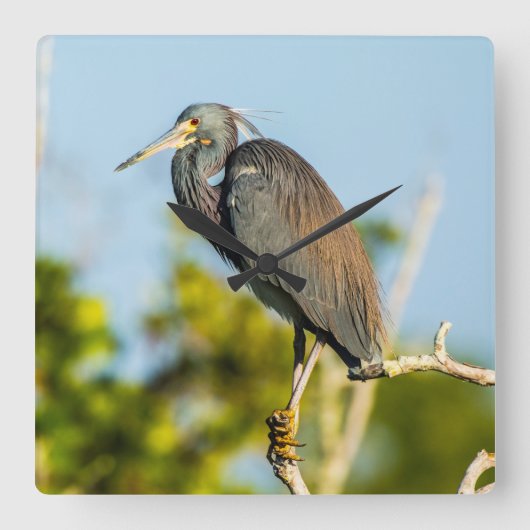 Fantasienaam voor de aderen vierkante klok (Voorkant)