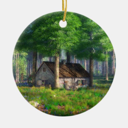 Fantasieten: Het Ornament van de boskatoen (Voorkant)