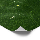 Fantasietjes: naar een onfeilbaar land afdrukken poster (Hoek)