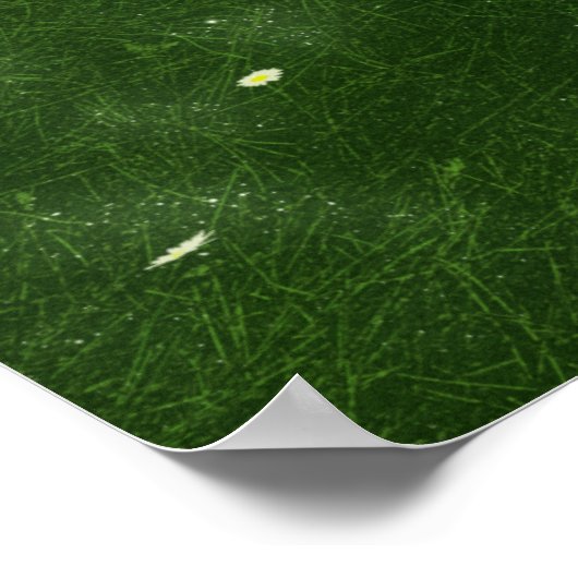 Fantasietjes: naar een onfeilbaar land afdrukken poster (Hoek)