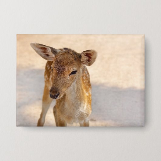 Fantasievolle boshertenfotografie button (Voorkant)