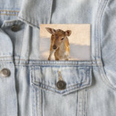 Fantasievolle boshertenfotografie button (Insitu)