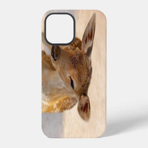 Fantasievolle boshertenfotografie iPhone 12 hoesje