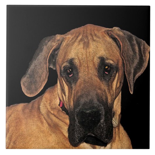 Fantasische Tegel Tegeltje (Voorkant)