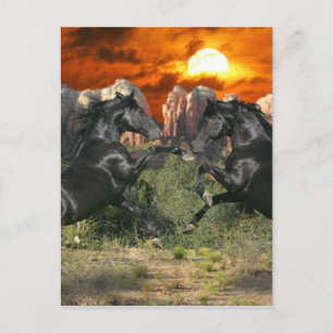 Fantassische paarden: zwarte magische paarden briefkaart