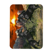 Fantassische paarden: zwarte magische paarden magneet (Verticaal)