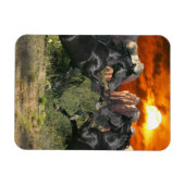 Fantassische paarden: zwarte magische paarden magneet (Horizontaal)