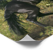 Fantassische paarden: zwarte magische paarden poster (Hoek)