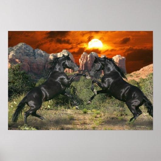 Fantassische paarden: zwarte magische paarden poster (Voorkant)
